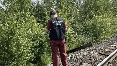 Пятилетнюю девочку, пропавшую с матерью в Красноярском крае, нашли мёртвой