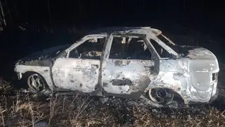 В Тюмени перекупщика авто зарезали, затем сожгли ради Kia Optima В Тюмени перекупщика авто зарезали, затем сожгли ради Kia Optima