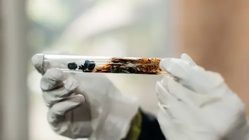 Ученые ТПУ нашли способ сократить энергопотребление при переработке отходов почти вдвое