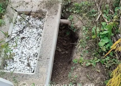 На Шинном кладбище в Красноярске собаки разрывают могилы