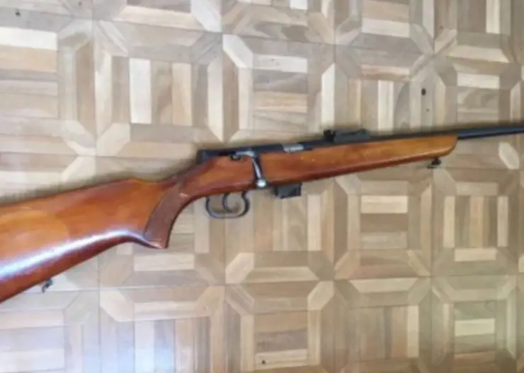 Житель Курагинского района нашел в лесу ружье с патронами и попал под суд 