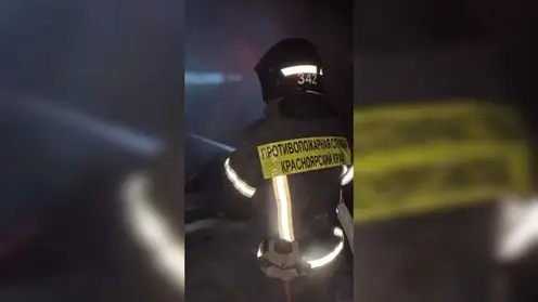 Пожар уничтожил почти 30 кур в деревне Красноярского края