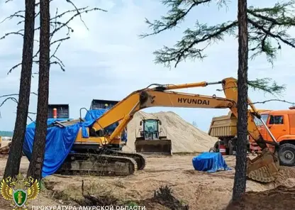 Золотодобывающая компания заплатит 250 тысяч рублей за самовольный захват земли в Амурской области