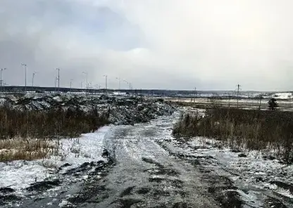 Жители поселка Минино под Красноярском пожаловались на свалку