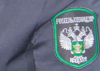 Красноярский ресторан спрятал от Россельхознадзора почти 700 кг продуктов и получил штраф