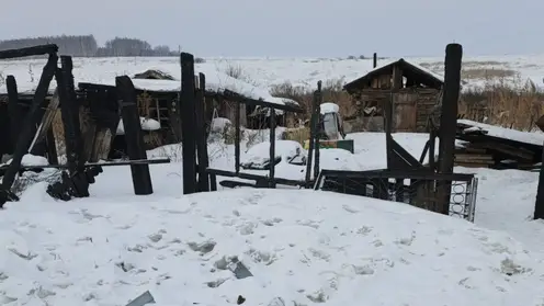 Женщина в Красноярском крае фиктивно зарегистрировала мигрантов в сгоревшем доме