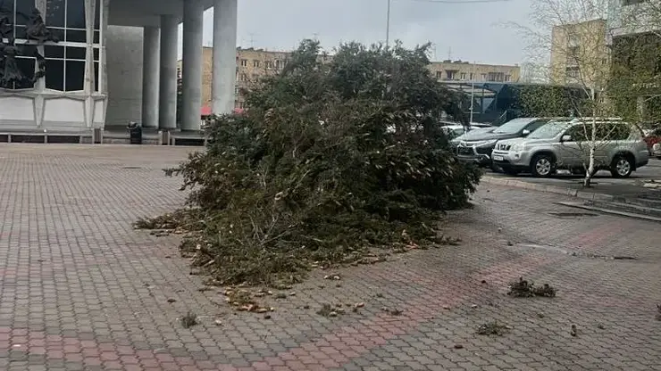 Ураган снес ель на Театральной площади в Красноярске