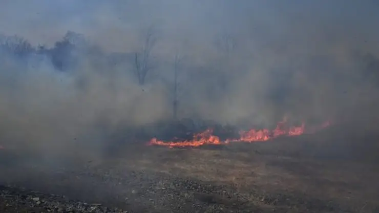 В Минэнерго рассказали, что повреждения ЛЭП — не основная причина лесных пожаров