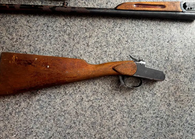 Жительница Кузбасса во время ремонта нашла в стене старый тайник с огнестрелом