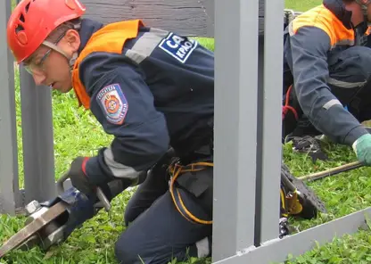 В Шарыпово спасатели достали котёнка из-под бетонной плиты
