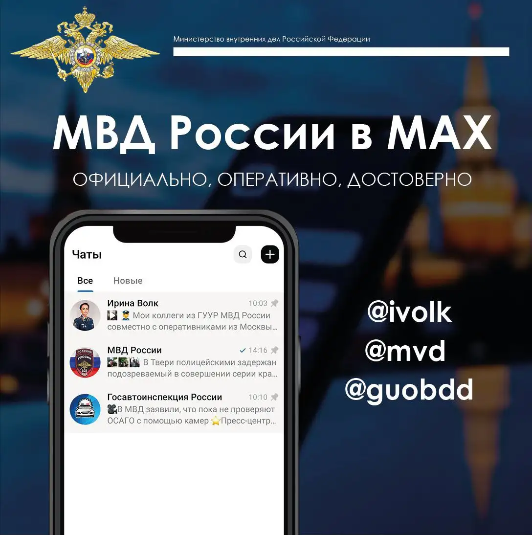 Фото: Telegram-канал «Ирина Волк»