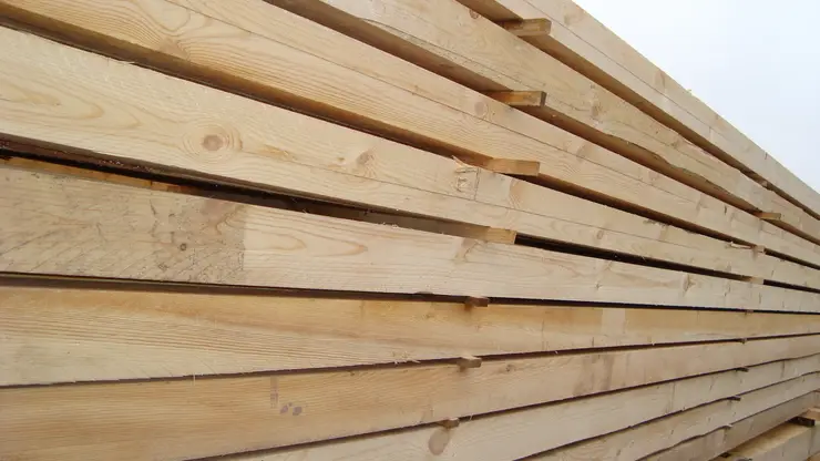 Из Красноярского края вывезли более 4 миллионов кубометров леса за 7 месяцев