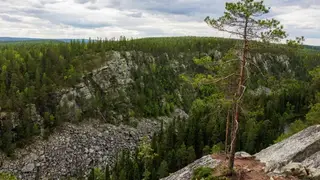 Кемеровчанка выиграла ультратрейл в сибирской тайге Кемеровчанка выиграла ультратрейл в сибирской тайге