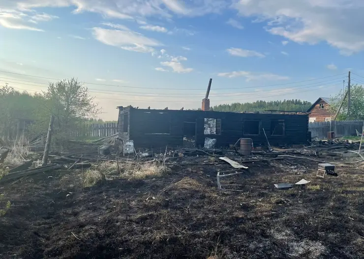 Трое детей погибли при пожаре в Красноярском крае