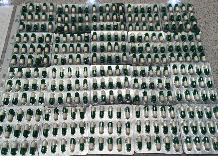 В Хакасии таможенники перехватили крупную партию лирики, прибывшей по почте из Индии