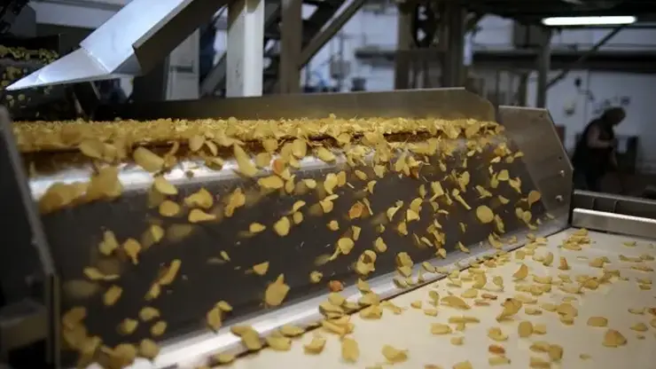 Новосибирские ученые создали полезные для здоровья чипсы