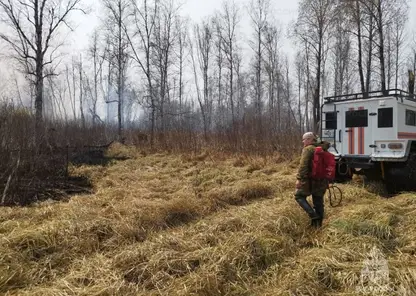 Жителей одной из деревень в Новосибирской области 9 мая эвакуировали из-за угрозы пожара