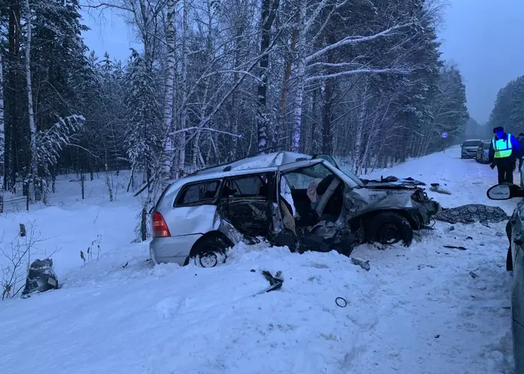 Смертельное ДТП произошло в Ермаковском районе Красноярского края