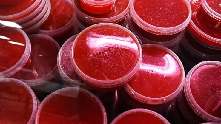 83 килограммов красной игры изъяли у перевозчиков в аэропорту Елизово на Камчатке за неделю