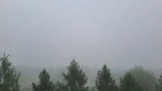 Туман и дождь прогнозируют в Красноярске 12 сентября