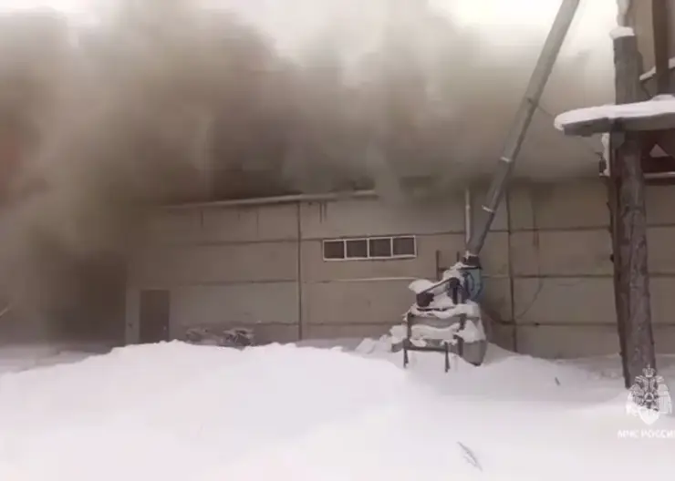 Деревообрабатывающий цех загорелся на площади 1200 квадратов в Красноярском крае (видео)