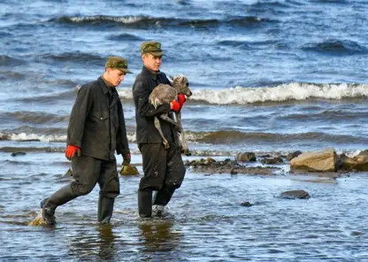 На севере Красноярского края волонтеры спасли маленького оленёнка
