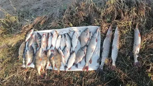 Два рыбака наловили на 21 тысячу рублей ущерба в Канском районе вопреки запрету