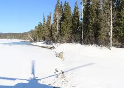 В Красноярском крае спасатели эвакуировали парапланериста из тайги