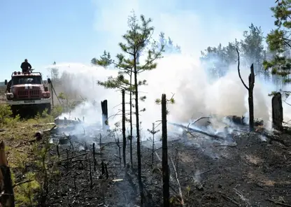 В Забайкалье установили троих нарушителей особого противопожарного режима
