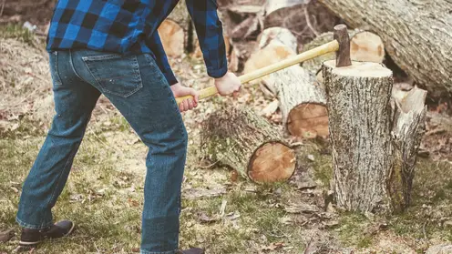 Суд взыскал более 34 млн рублей с контрабандиста леса в Иркутской области