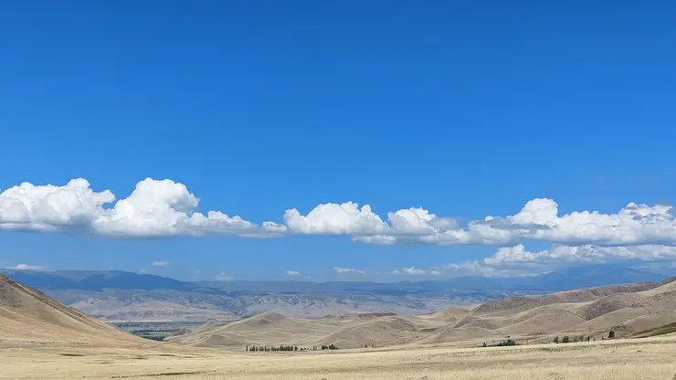 Археологи «Большого Алтая» впервые начнут раскопки в Кыргызстане