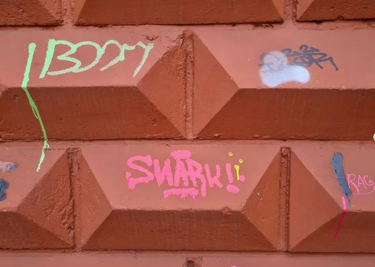 Красноярские подростки на глазах у полиции попытались разрисовать стену здания