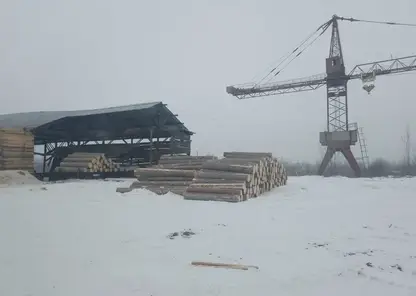 В Канске выявили контрабанду древесины на 96 млн рублей