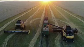 Красноярский край собрал свыше 2,5 млн тонн зерна — рекорд Сибири по урожайности Красноярский край собрал свыше 2,5 млн тонн зерна — рекорд Сибири по урожайности