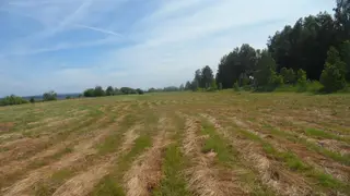 Собственник очистил от сорняков больше 50 гектаров земли по требованию Россельхознадзора