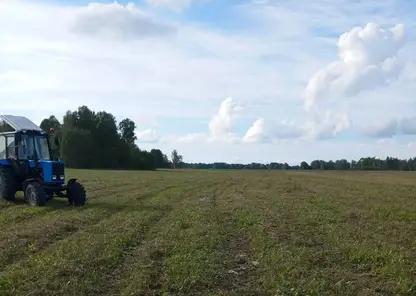 В Красноярском крае вовлечено в сельхозоборот около 230 га ранее неиспользуемых земель