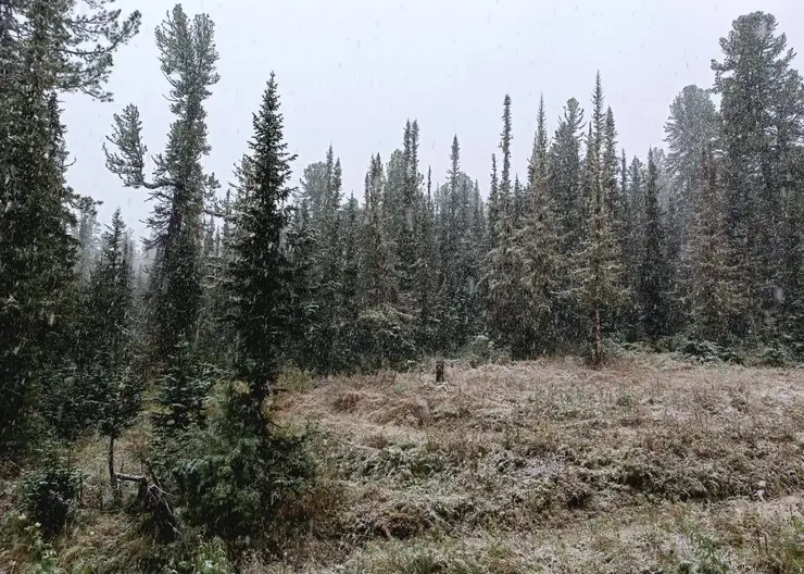 Фрирайдеры досрочно открыли горнолыжный сезон в «Ергаках»