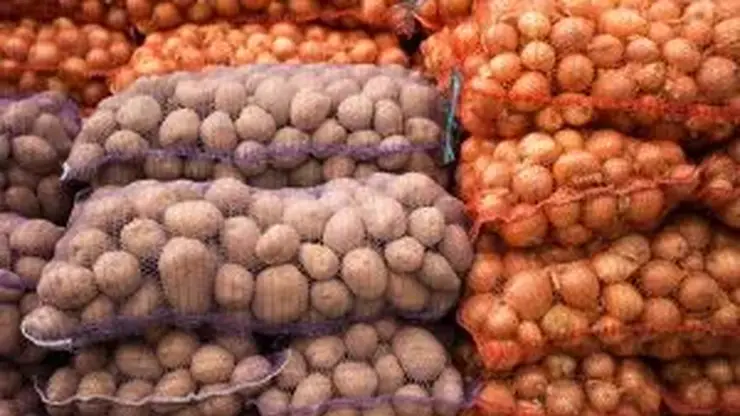 65 тонн казахстанского лука ввезли в Хакасию с нарушениями фитосанитарных правил