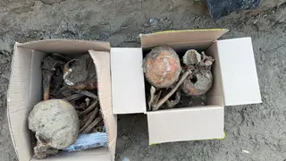 Археологи нашли массовое захоронение в историческом центре Красноярска Археологи нашли массовое захоронение в историческом центре Красноярска