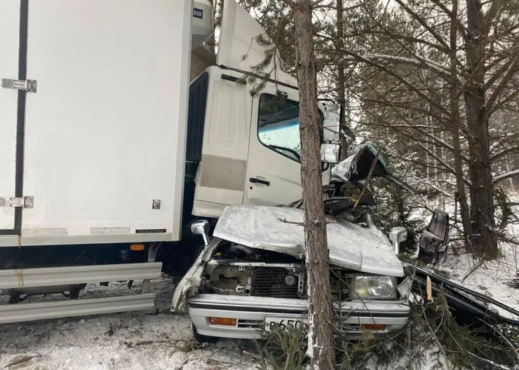 Один человек погиб при столкновении Nissan с грузовиком в Емельяновском районе