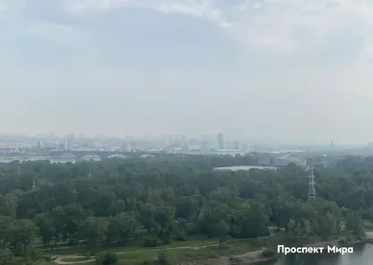 Красноярцы массово жалуются на дымку и запах гари из-за лесных пожаров. Где дышится хуже?