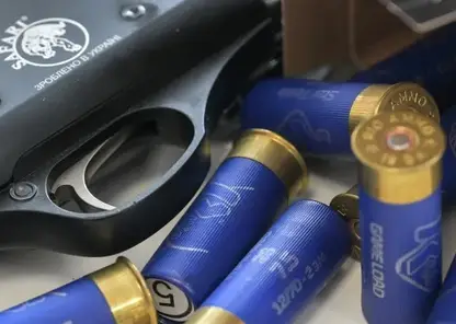 Правительство Тувы в три раза увеличило выплаты за добровольную сдачу незаконного огнестрела