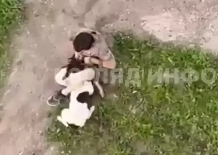 В Красноярском крае мужчина жестко избил свою собаку под предлогом «воспитания»