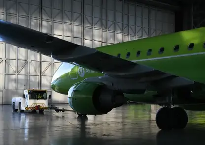 Новосибирские таможенники рассказали, куда чаще всего вывозят животных из Толмачево