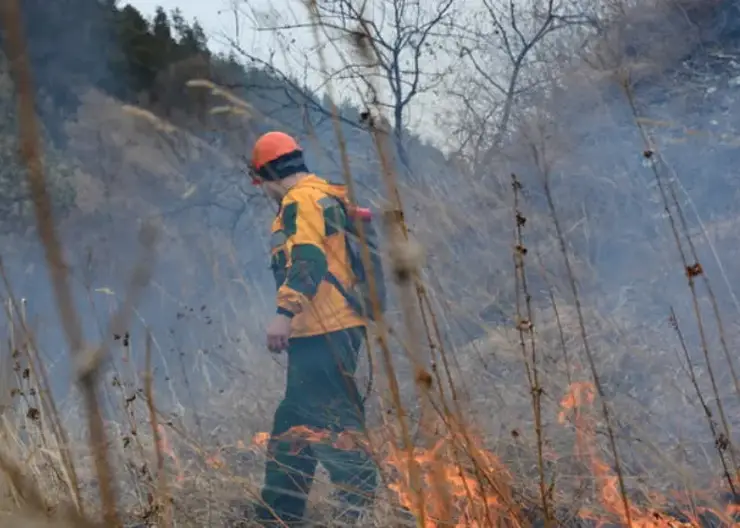 Более 170 лесных пожарных с севера перебрасывают для тушения возгораний в западных, восточных и центральных районах Красноярского края