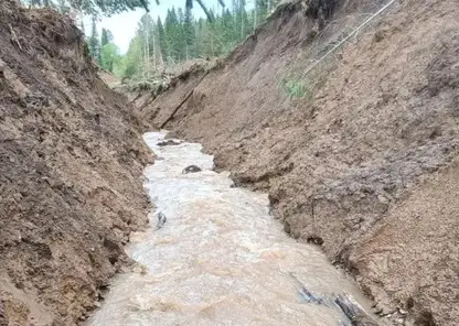 Золотодобытчики заплатили более двух млн рублей за сброс вредных отходов в реки Красноярского края