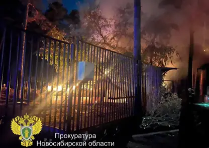 Красноярский «Роев ручей» предложил помощь новосибирскому зоопарку после пожара