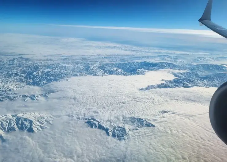 В Россию «завезена» лихорадка чикунгунья: туристка привезла вирус с Сейшел