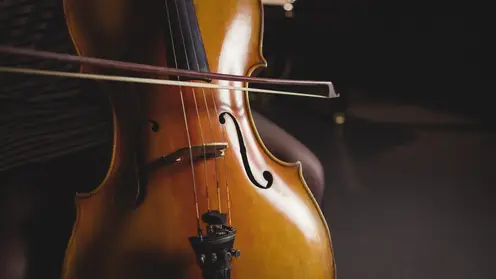 Казахстанские виолончелисты триумфально выступили на конкурсе имени В. Я. Шпета в Омске