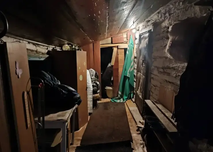 Следы крови обнаружены в доме друга убитого 12-летнего школьника из Ачинска